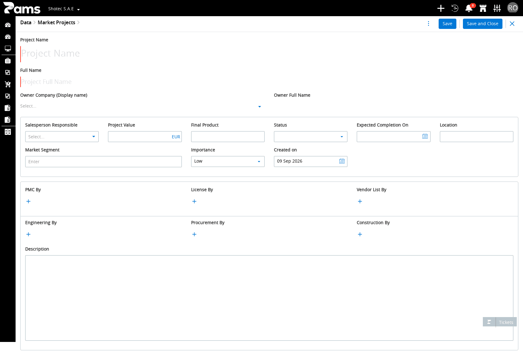 Review the main project fields before saving.