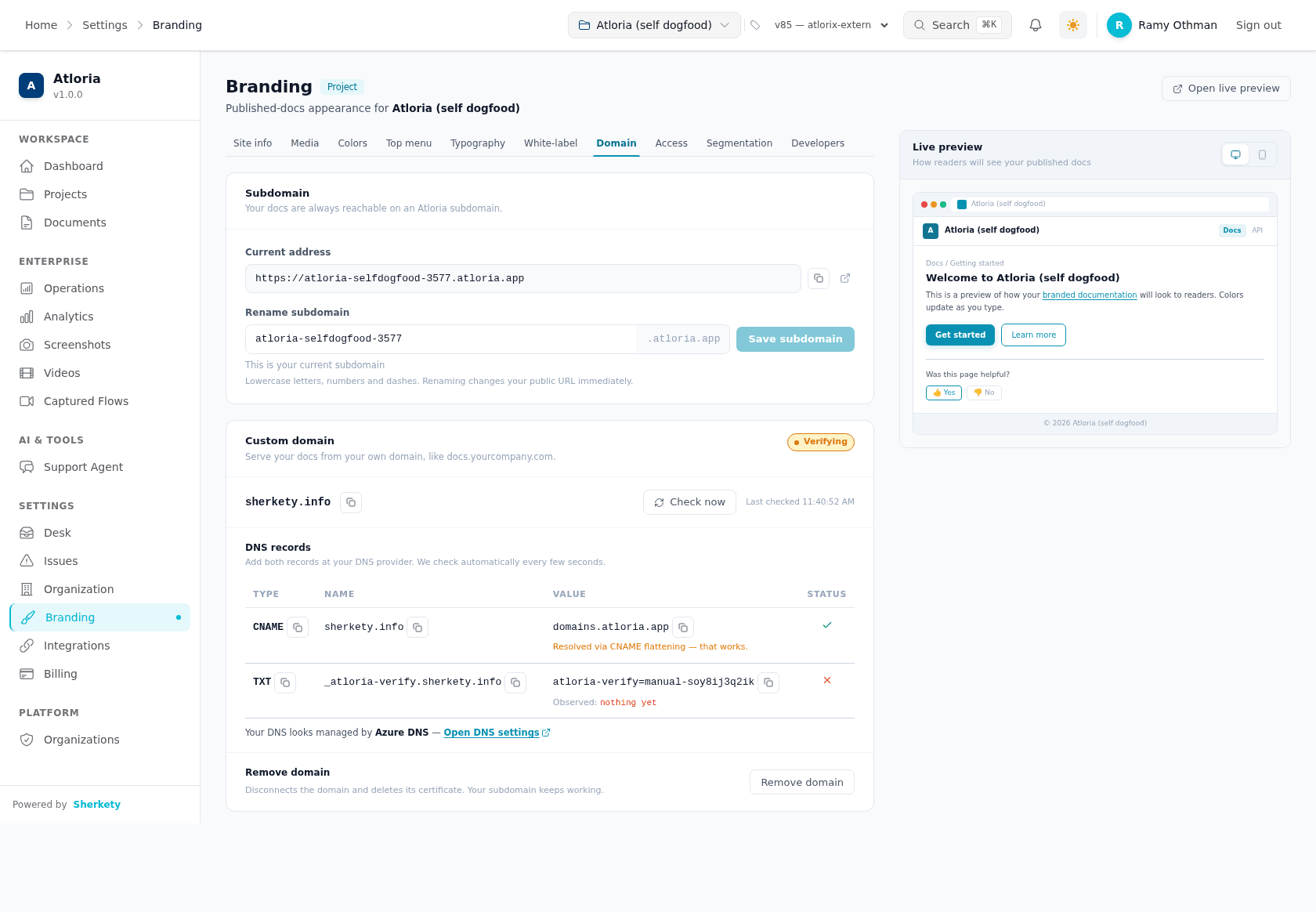 Select Domain to view the project's subdomain and custom-domain status controls.